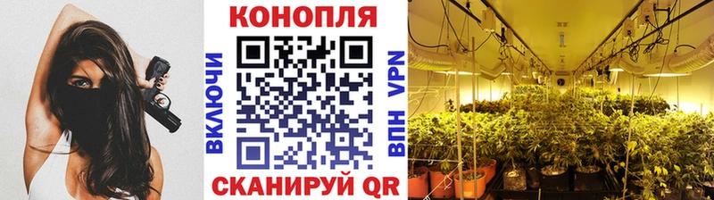 Сколько стоит Калязин ГАШ  kraken как войти  Меф мяу мяу  Бошки Шишки  Альфа ПВП 