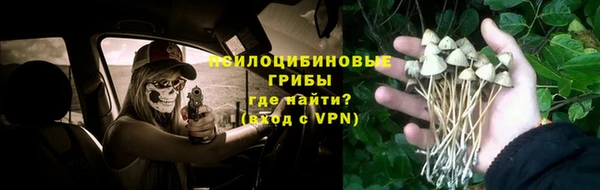 ALPHA PVP Армянск