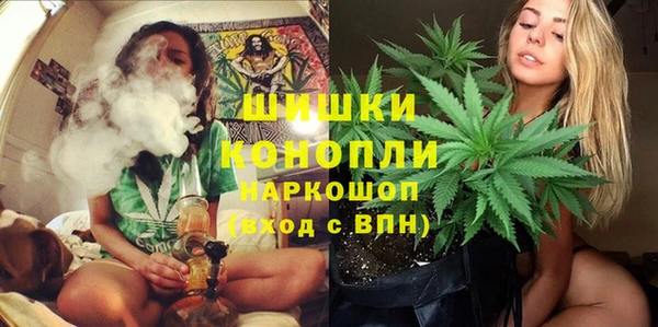 сатива Арсеньев