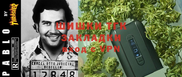 ГАЛЛЮЦИНОГЕННЫЕ ГРИБЫ Алзамай